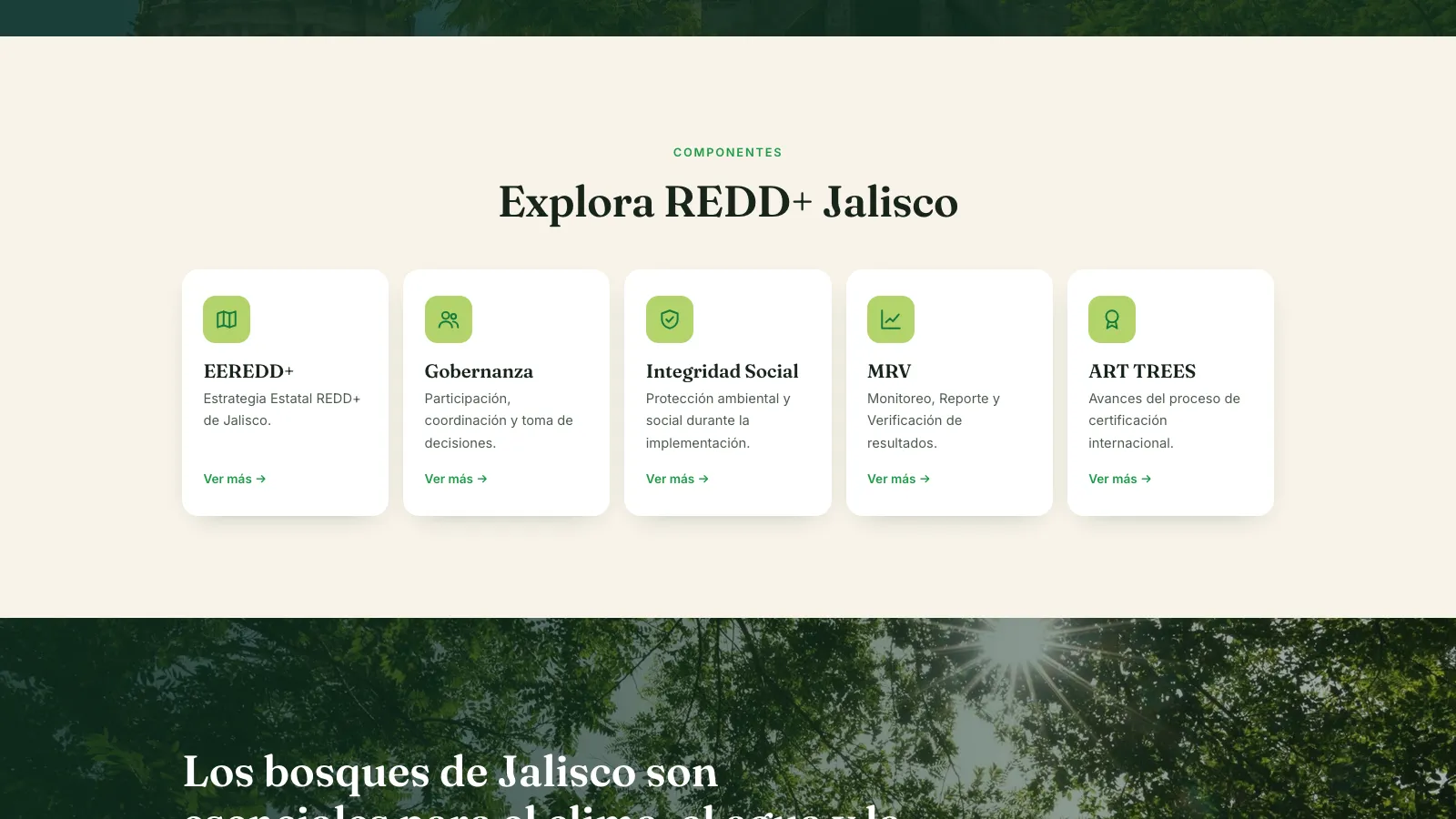 Las cinco secciones del portal: EEREDD+, Gobernanza, Integridad Social, MRV y ART TREES