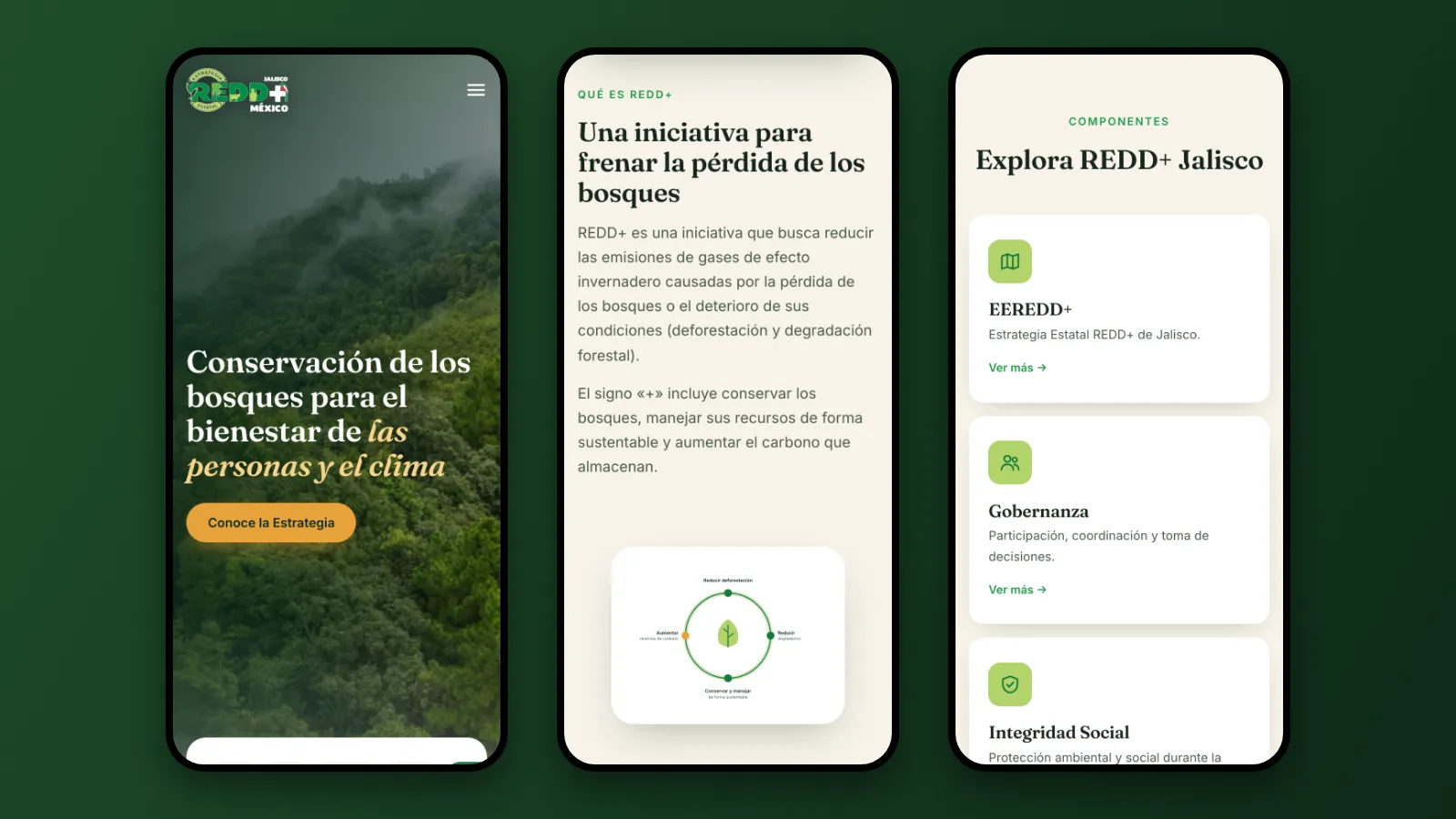 El portal REDD+ Jalisco en pantallas de teléfono